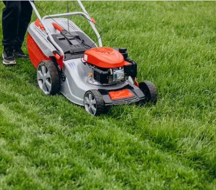 Lawn Maintenance