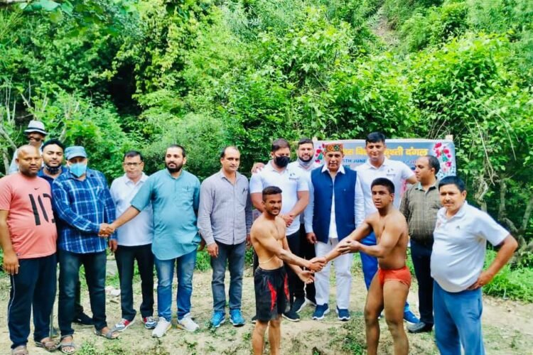 Kushti Dangal