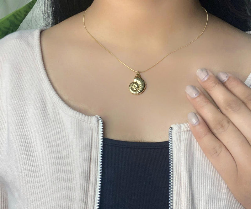 Arc Snail Shell Necklace